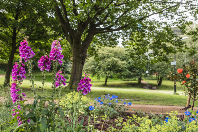 Angel Meadow Park with flowers