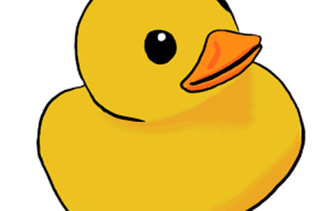 An image of a yellow duck